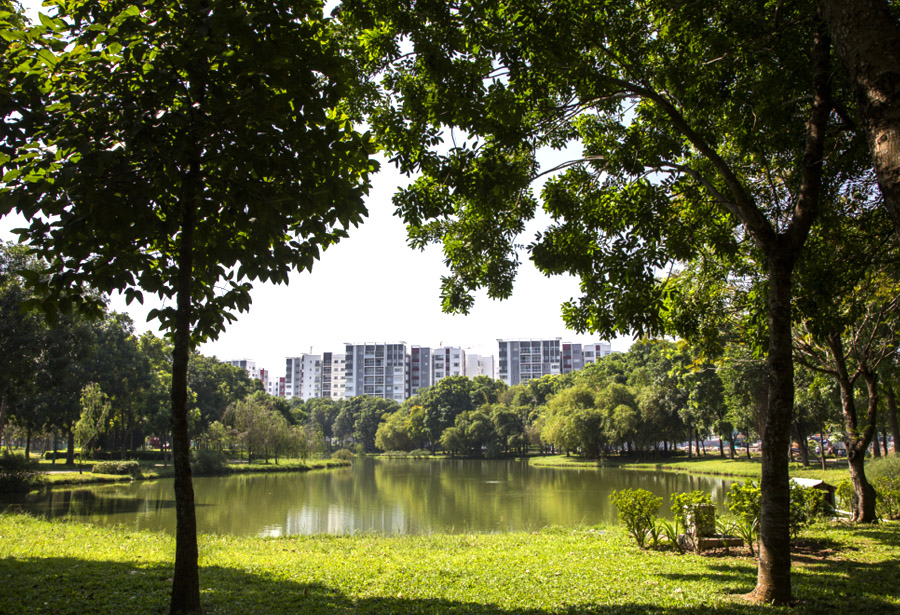 Căn hộ Celadon City - View công viên